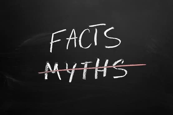 mity i fakty